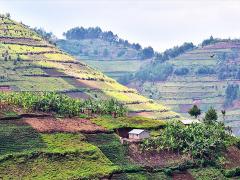 Uganda to receive a tourism boost.  