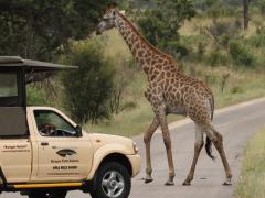 Now, as the initiative enters its fourth period of renewal, Tourism Update looks at whether it has fulfilled its promises.