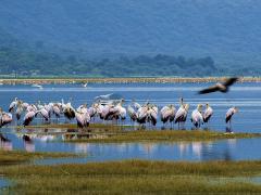  Initiatives to protect Lake Manyara National Park required participation of various stakeholders