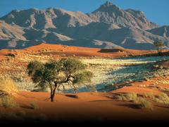 The German market grew by 35% over the period.