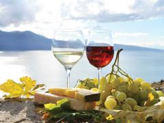 The new partnership will leverage South African wine regions and brands to strengthen the entire sector