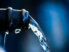 The session will cover the situation as it stands at present, ‘Day Zero’ and future planning measures by government