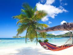 The Seychelles gained more traction in 2017 through new exposure channels.