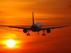 Single African Sky is gaining popularity. 