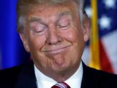 Gondwana Collection responds to Trump’s outlandish statement with a quick-witted video.