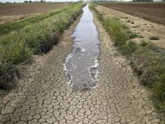 The average dam storage across the province on January 4, 2018 is 29.1%