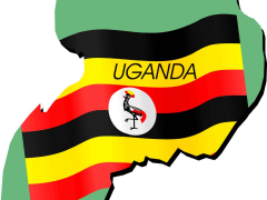 This year’s theme is ‘Rediscover the Pearl’