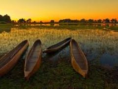 Low water levels in the Delta have resulted in various camps suspending mokoro activities. 