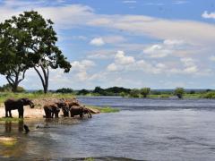 Great Plains Conservation has expanded its footprint in Zimbabwe with the launch of the Mpala Jena Camp. 