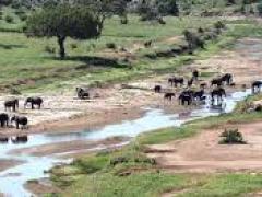 Forest Chem Chem to open in June. 