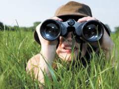 The Safari Collective helps camps and lodges reach their full potential. 