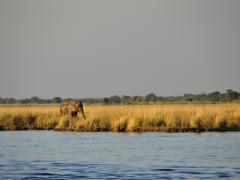 The Chobe River provides stunning views