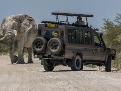 Orlando Safaris offers safari vehicles that have been specially selected for comfort, safety and reliability.