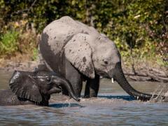 The lodge will open in April with nine canvas and thatch tents, including one family tent