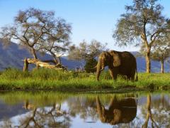 Zimbabwe Tourism Authority said a full list of the 29 countries in Category B would be made available soon.