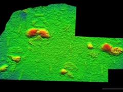 3D image of a portion of the northern surface (courtesy of Richard McCrea)