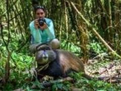 Golden monkey trekking