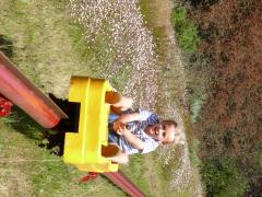 Get the wind in your hair on Long Tom Toboggan.