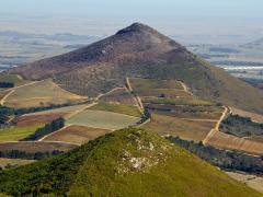 Land expropriation without compensation and its effects on tourism.