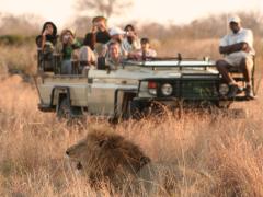 Q&A on electrically-powered game vehicles. 