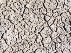 Etosha National Park is a must-do when visiting Namibia, which is home to the famous Etosha Pan. 