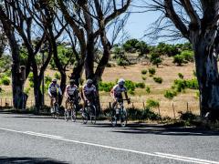 Yzerfontein offers picturesque views for cyclists (image courtesy of West Coast Way)