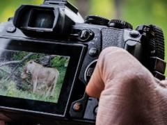 Wilderness Safaris has partnered with Olympus, combining high-end services with wildlife photography to ensure ongoing conservation in Africa.