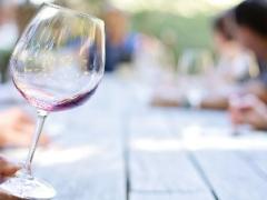 Wine tourism shows positive growth in the Western Cape, with a 16% increase.