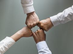 Working together with Zimbabwe tourism stakeholders to build a national tourism strategy.