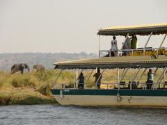 A boat cruise down the Chobe river. 