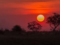 Sir Richard Branson applies for a tourism concession in the Delta