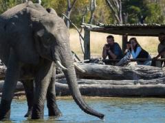 Little Makalolo Camp in Hwange will be rebuilt and is set to reopen in June.