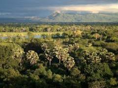 The adjoining reserves create an extended haven for wildlife.