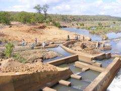 The Kruger National Park will be hosting World Fish Migration Day, highlighting the importance on migratory fish and free flowing rivers. 