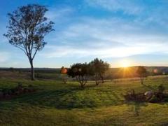 Mantis and AccorHotels sign agreement.