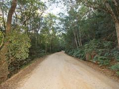 SANParks to begin review of its GRNP management plan.