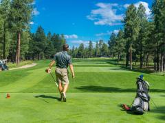 Golf and motorsports are capturing attention as tourism drawcards.