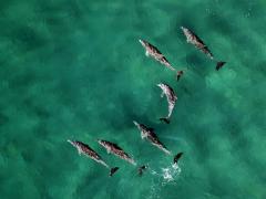 Marine and coastal tourism has the potential to unlock further economic benefits for Nelson Mandela Bay.