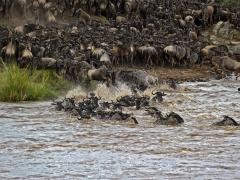New Serengeti luxury camp opens in time for Great Migration.