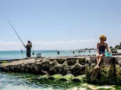 West Coast Way launches new sightseeing route.