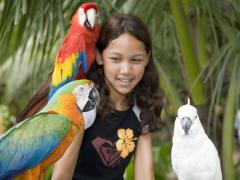 40-year-old bird park could close.