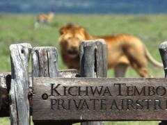 Services have been suspended at Kichwa Tembo Airstrip due to ongoing rains.