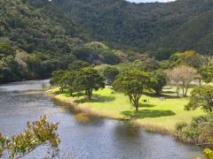 The Serpentine Bridge will be closed for four months.