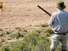 Trophy hunting – a tool for conservation?