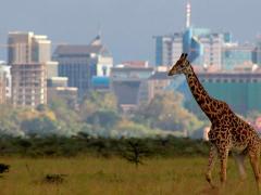 Kenya Bureau of Statistics records an increase in international tourism in 2017.