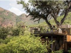 Thabametsi Treehouse is the latest addition to the circuit. Credits: MORE Group.
