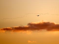 Lake Manyara South Airstrip is set to open on July 1.