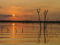 Zambezi Cruise and Safaris will launch its new cruise in 2019.