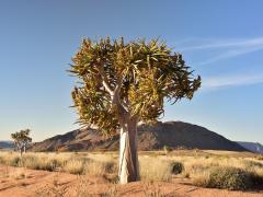 The Ghaap Route will launch later this year in the Northern Cape.