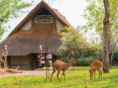 Victoria Falls Safari Club has opened after a refurb.